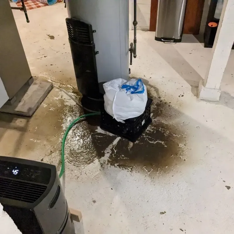 Sewage Backup Cleanup Service in Birdsboro, PA